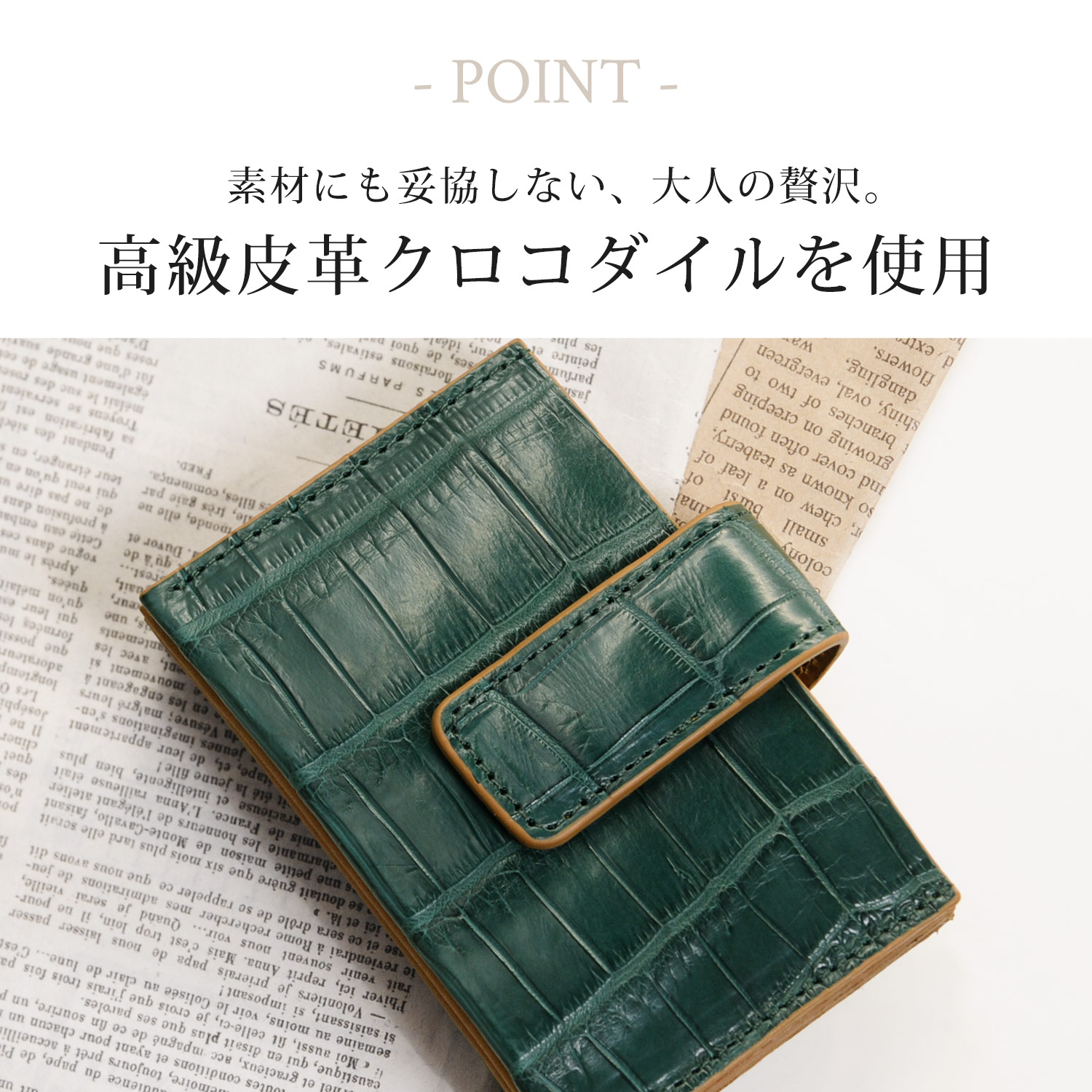 クロコダイル カードケース ワニ革