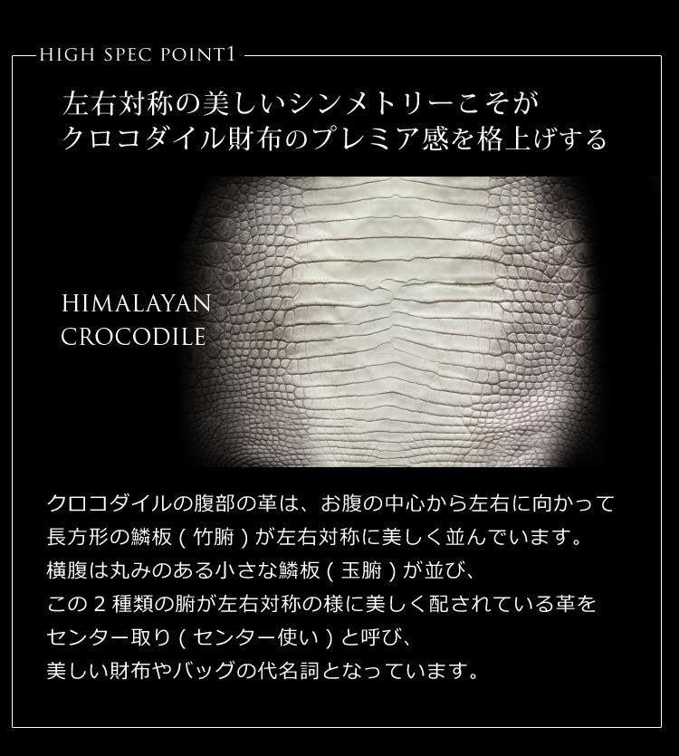 ヒマラヤクロコダイル センター取り