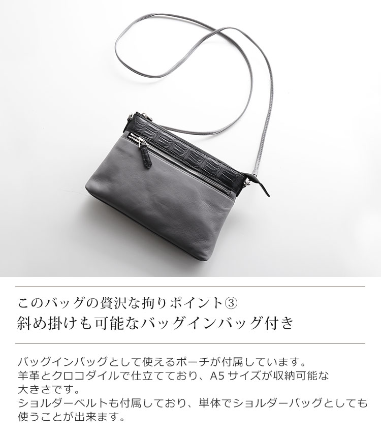 バッグインバッグ ショルダーバッグ ポーチ付き 