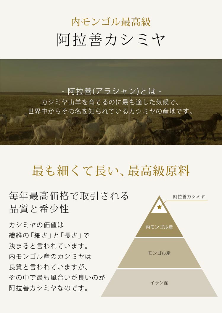 カシミヤ ストール 最高級 内モンゴル アラシャン