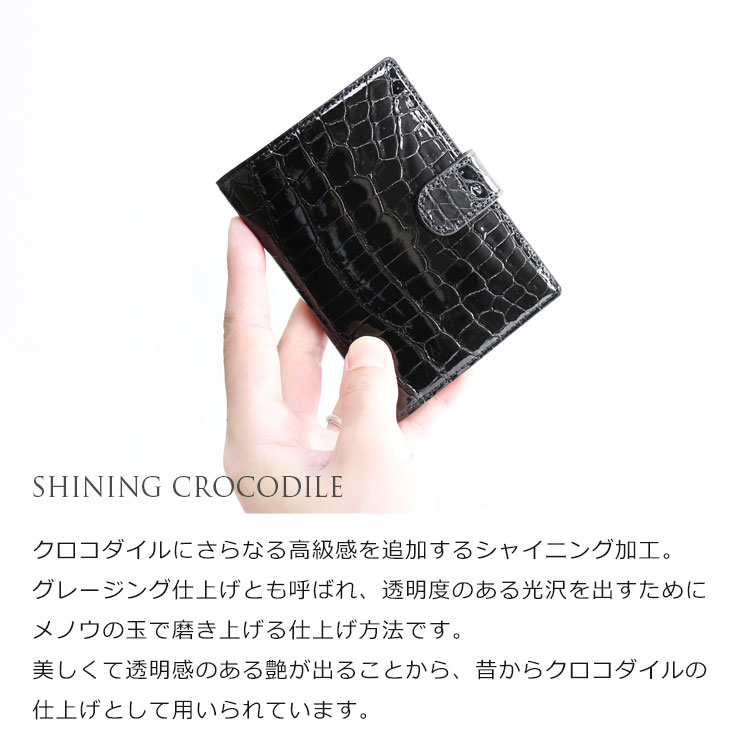 シャイニング クロコダイル 美しい 