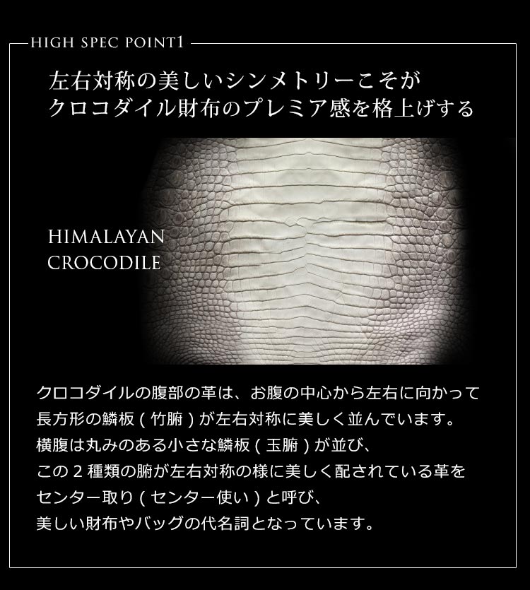 ホワイトカラーが美しい ヒマラヤクロコダイル