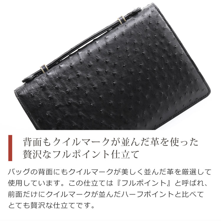 背面にもクイルマークが並んだフルポイント