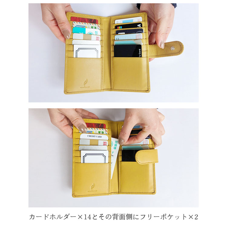 mieno カードホルダー 入れ 薄型 クレジットカード  診察券 便利