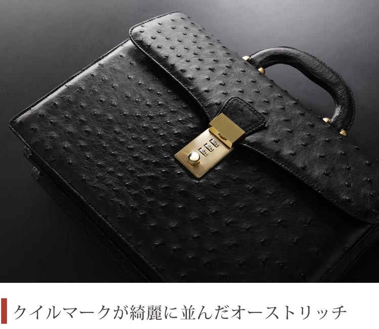 クイルマークが並んだオーストリッチ