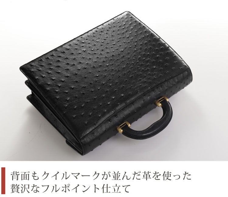フルポイントオーストリッチ