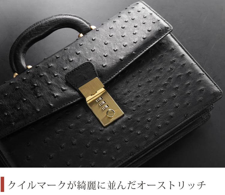 クイルマークが並んだオーストリッチ