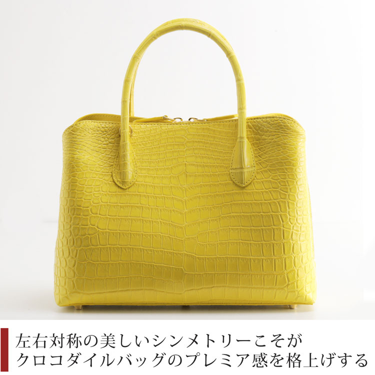 センター取りのスモールクロコダイル