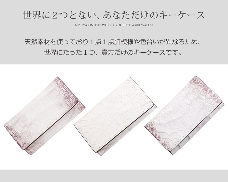 小さい 小型 キーケース 小銭 ミニ サイフ 財布 カード