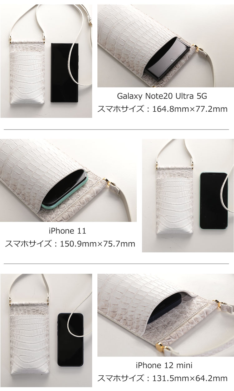 サイズ比較