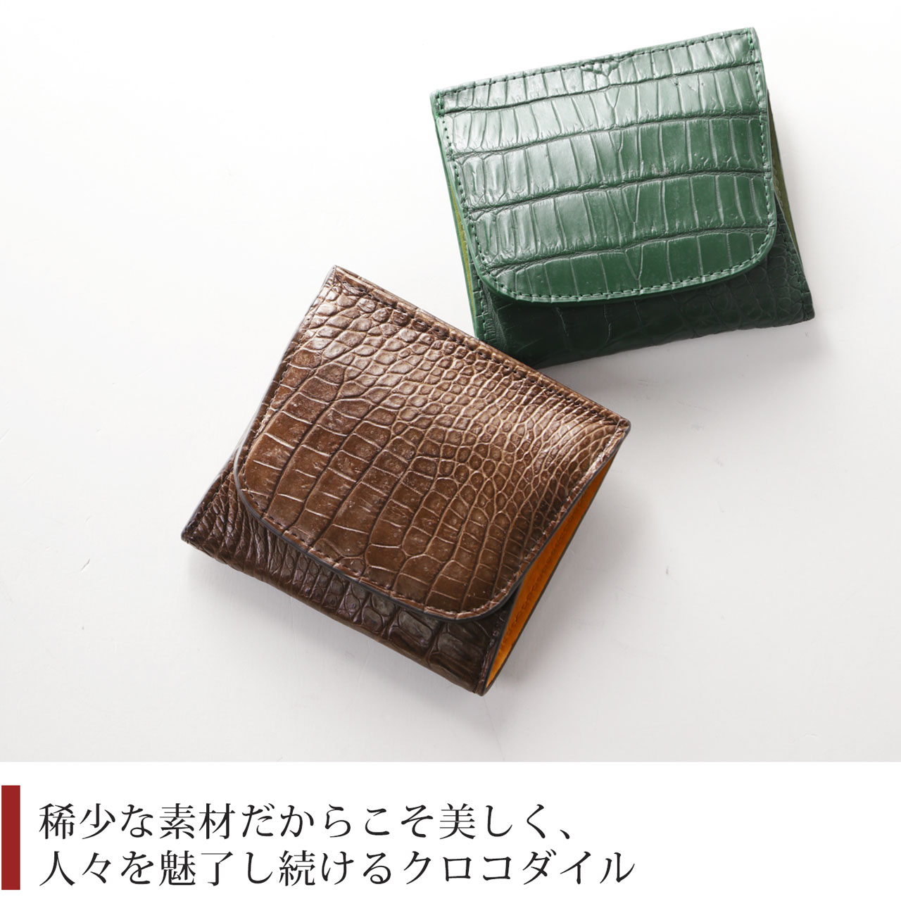 『皮革の宝石』クロコダイル