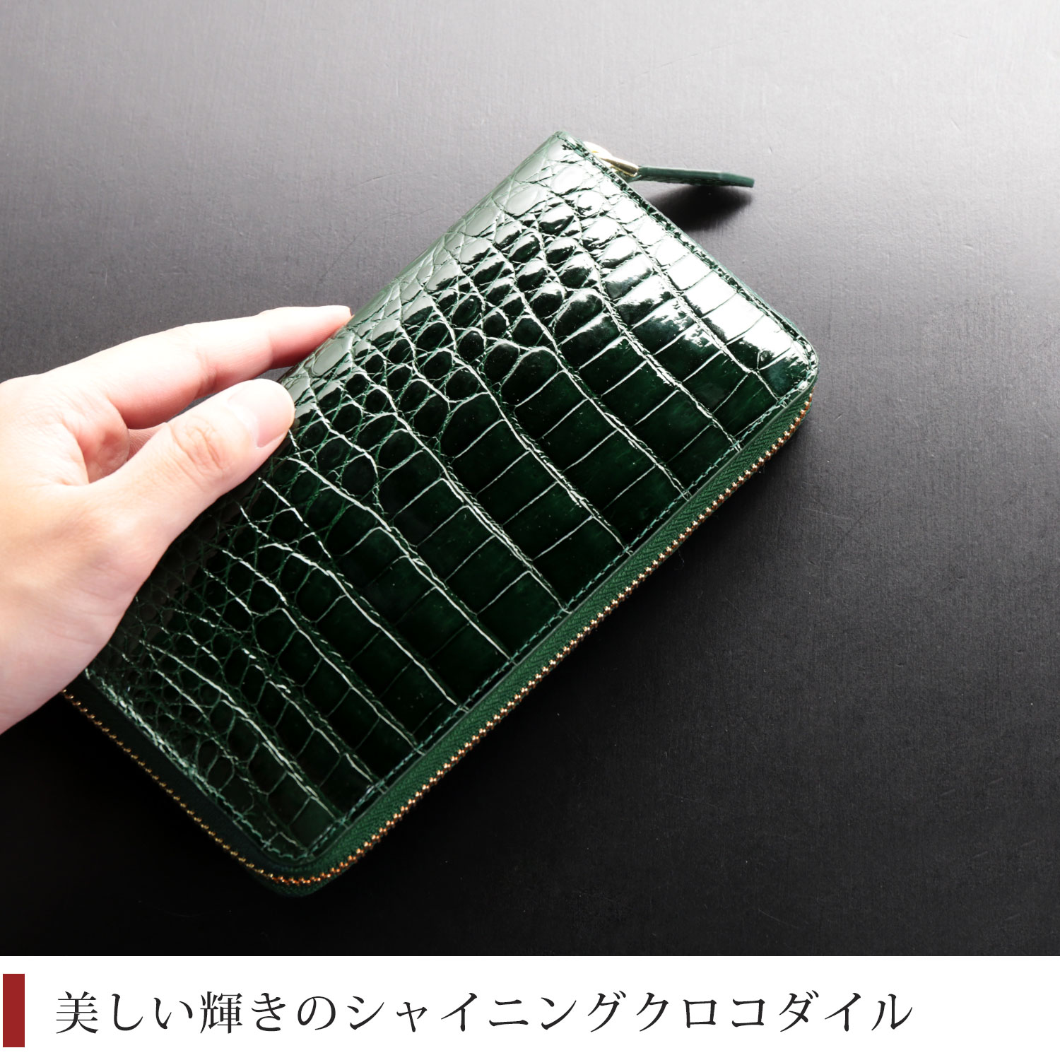 クロコダイルの美しい光沢