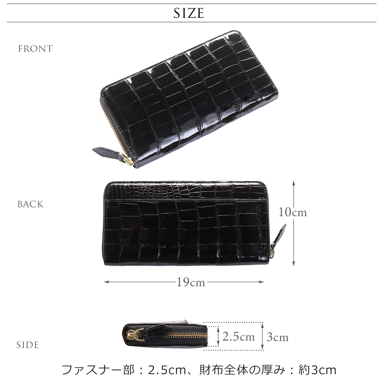 サイズ