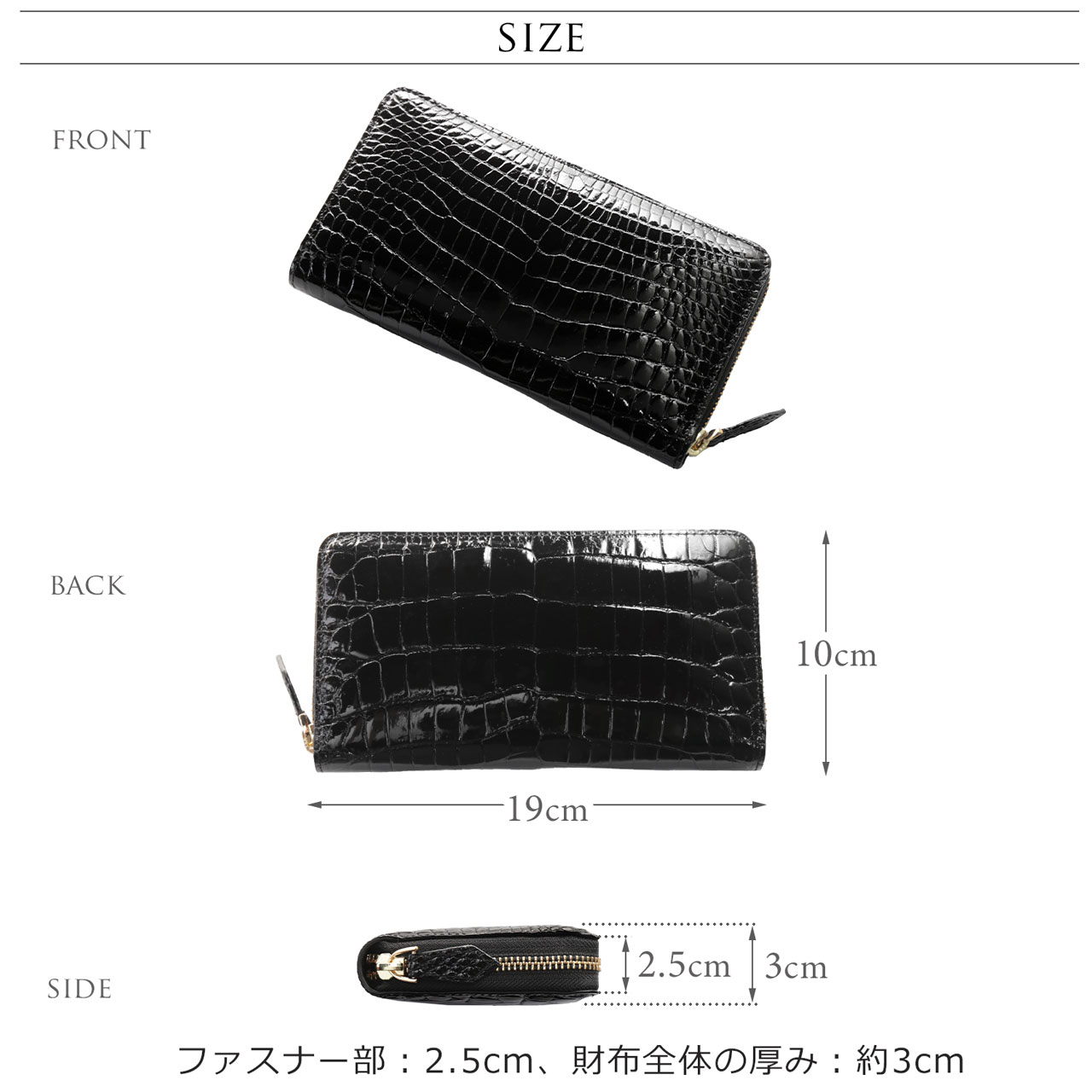 サイズ