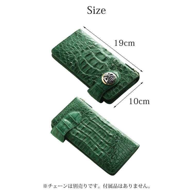 サイズ