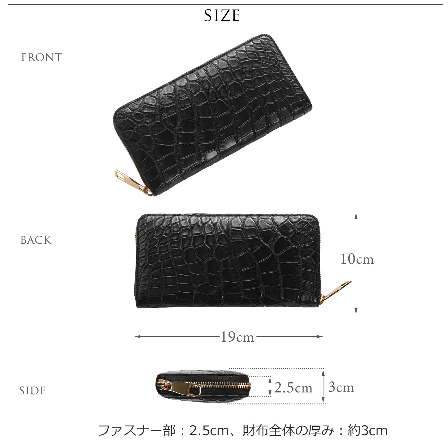 サイズ