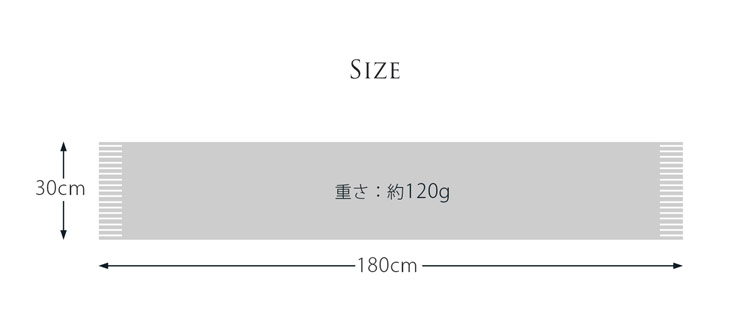サイズ