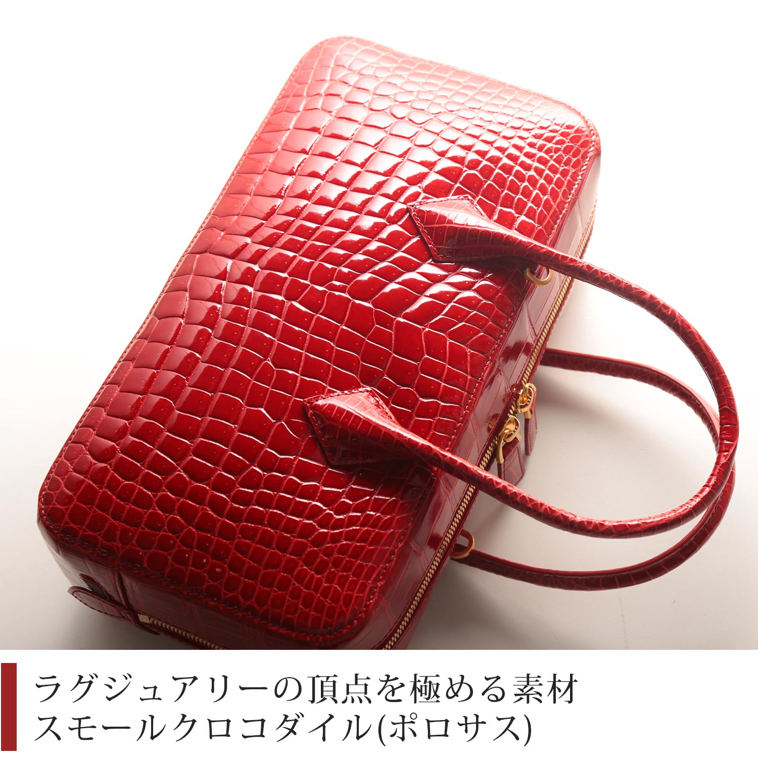 美しいスモールクロコダイル