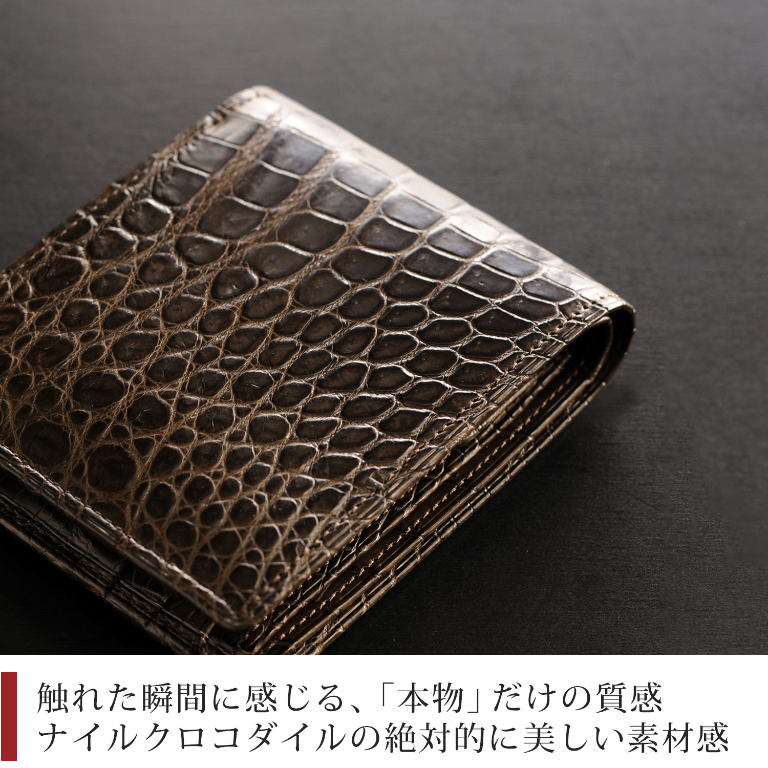 本物のクロコダイルの絶対的な美しさ