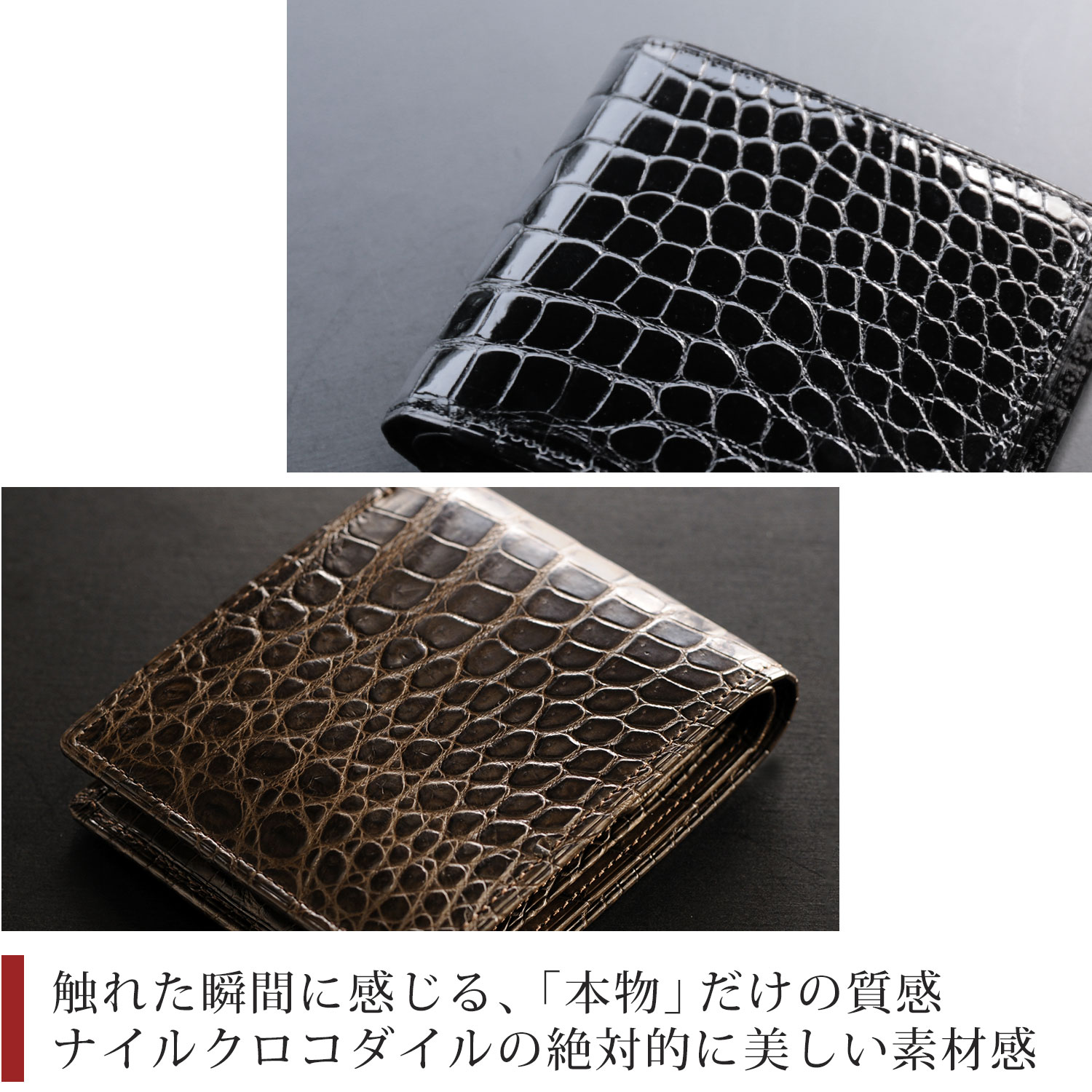 本物のクロコダイルの絶対的な美しさ