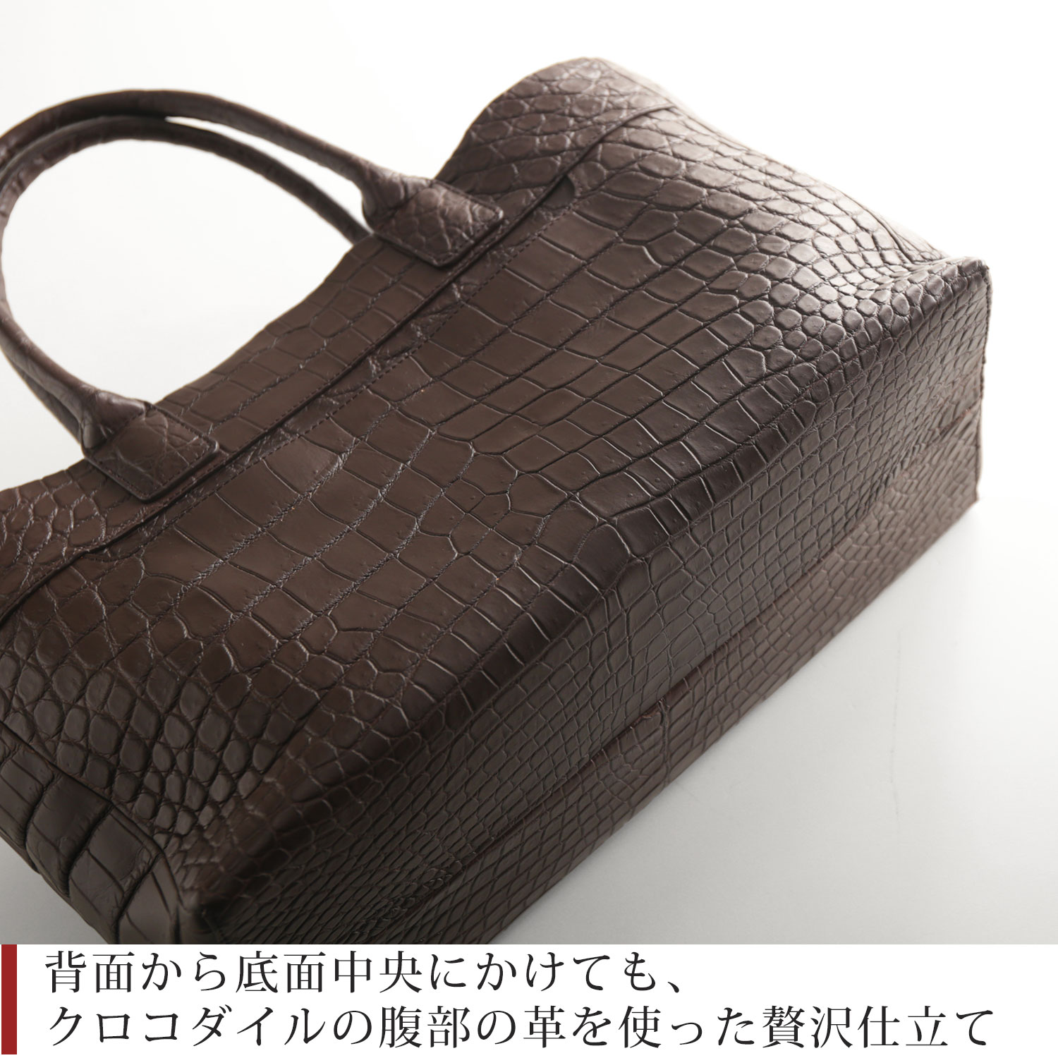 大きなクロコダイル