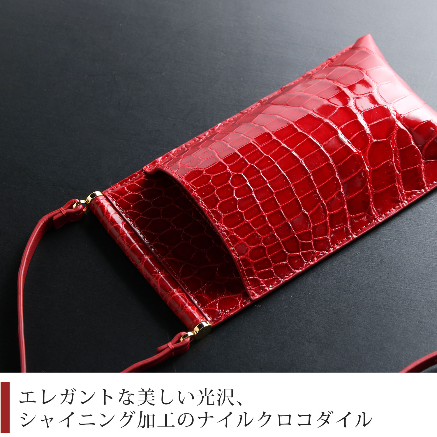 ナイルクロコダイル
