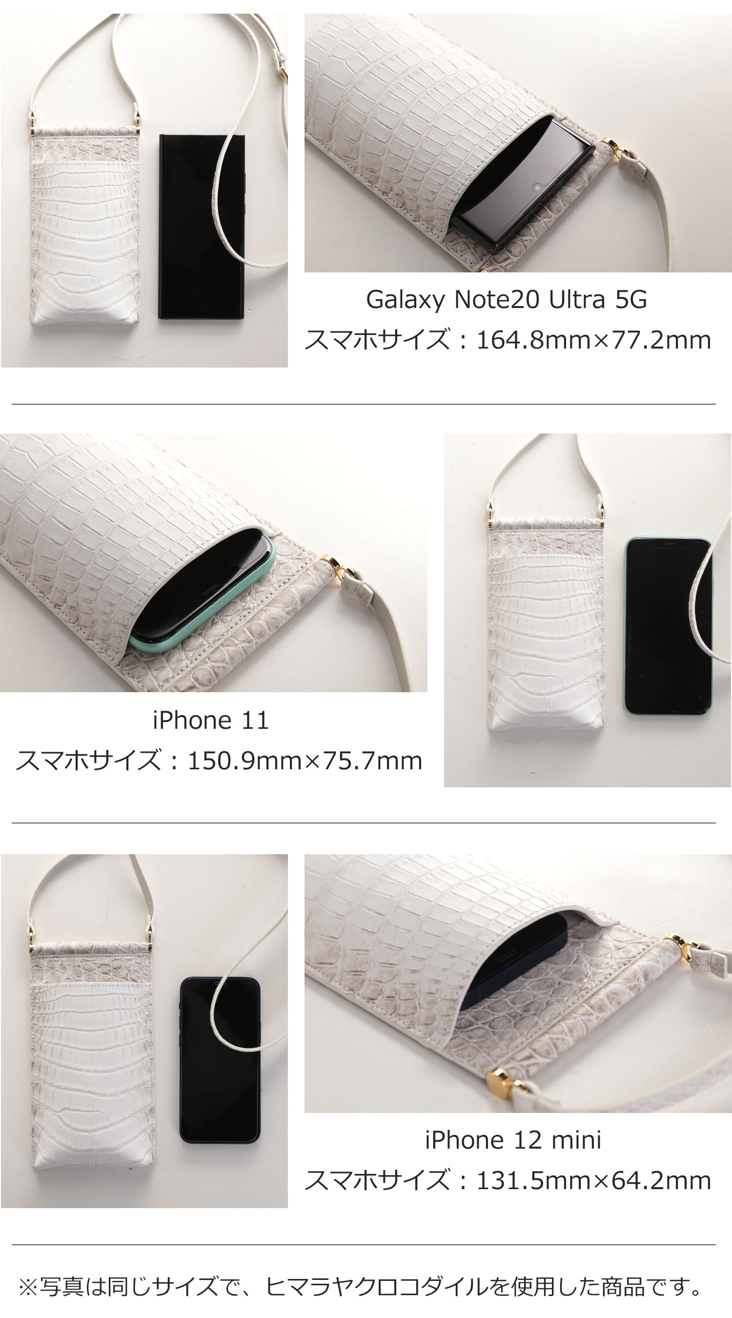 サイズ比較