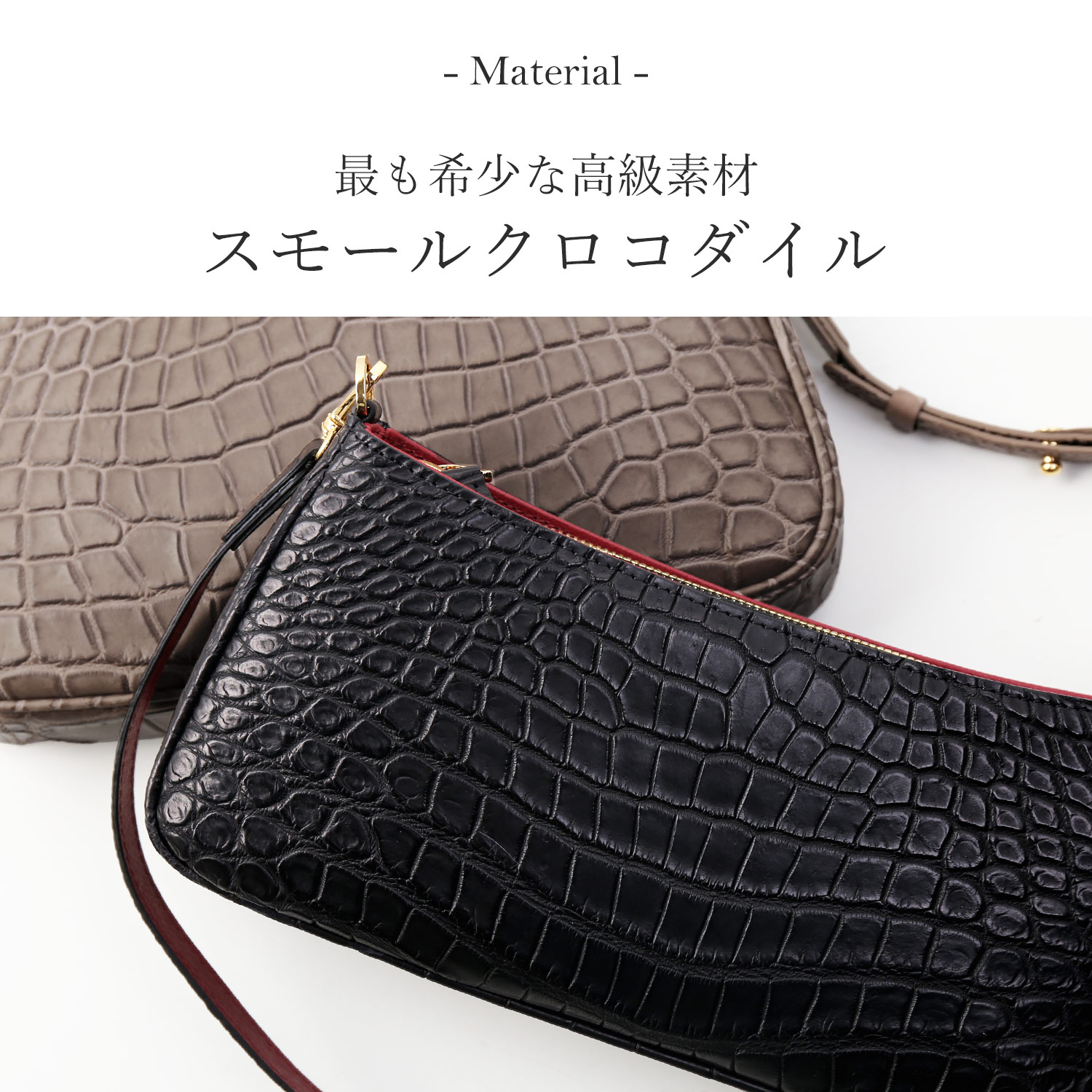 スモールクロコダイル ポロサス バッグ