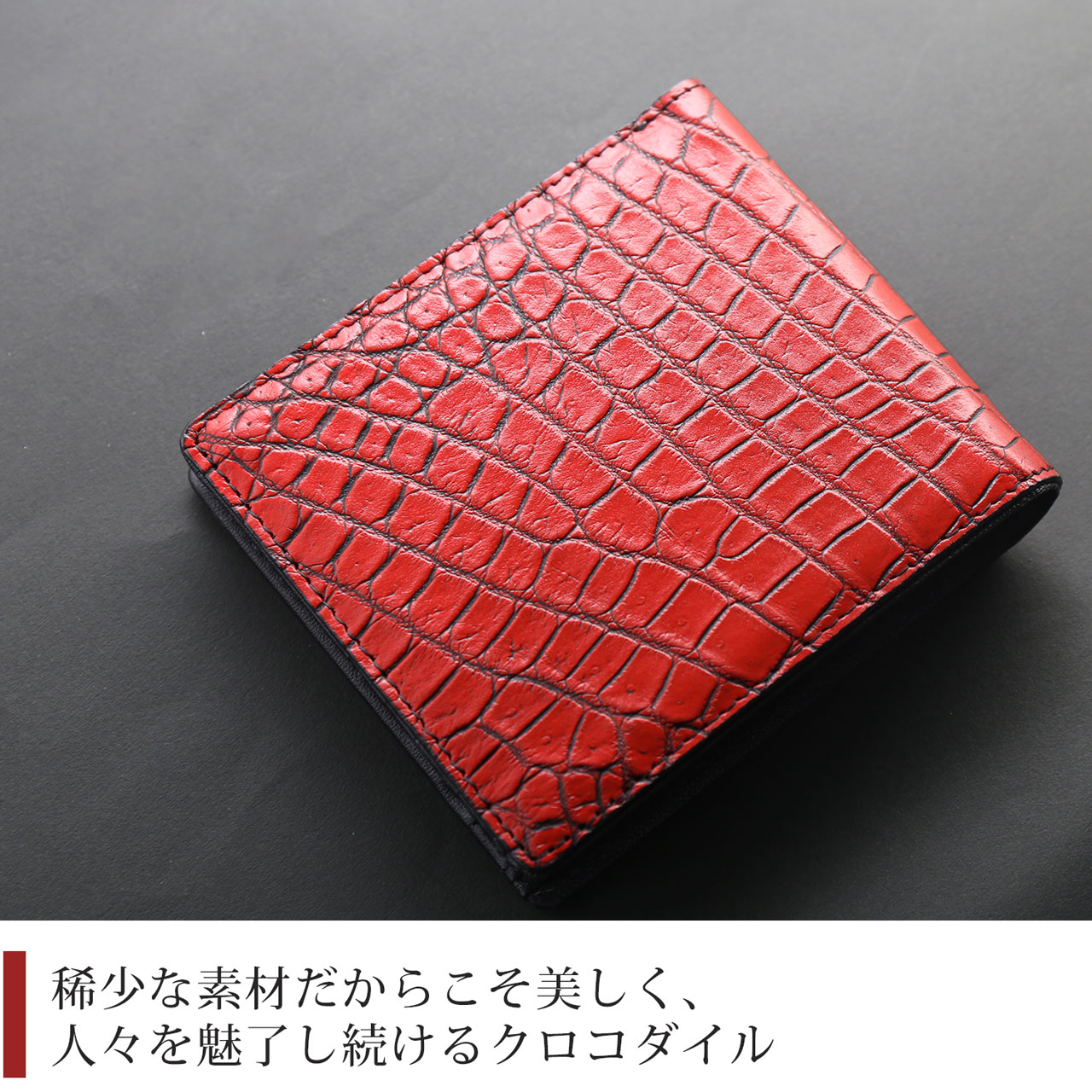 艶のないナイルクロコダイル