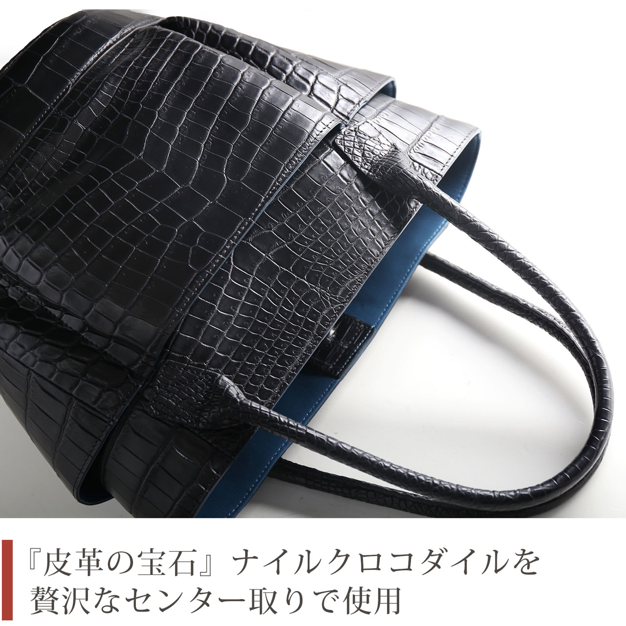 センター取りのナイルクロコダイル