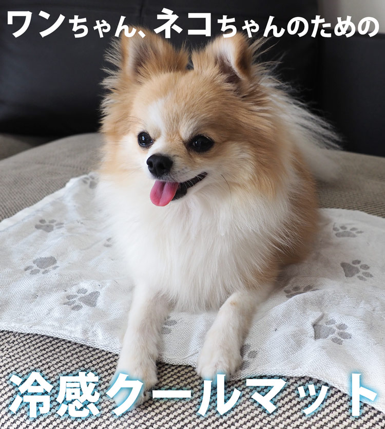 クロコダイル ラウンドファスナー 長財布 レディース メッシュ デザイン