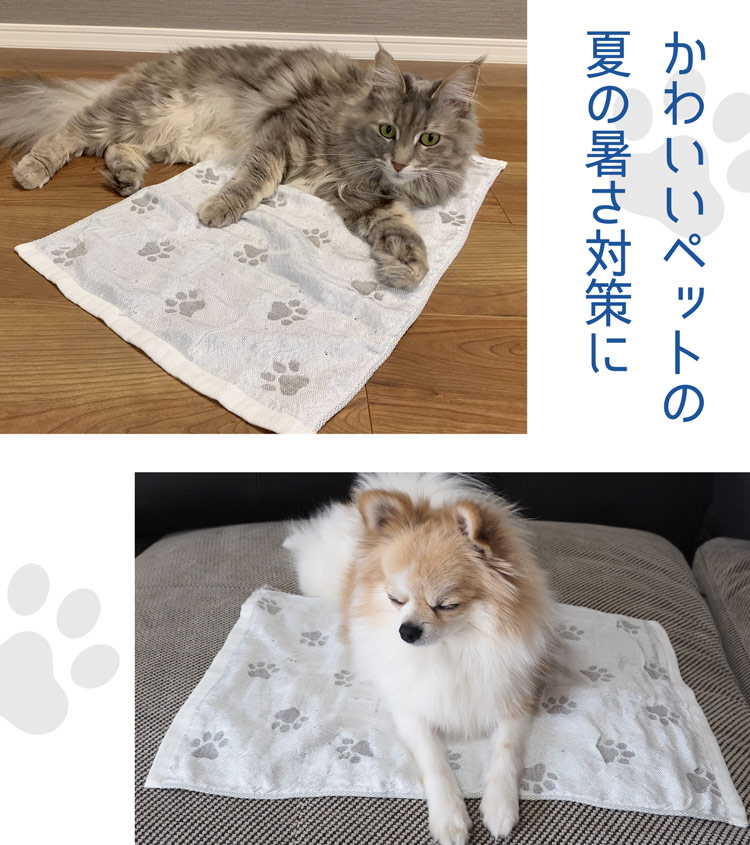 クロコダイル ラウンドファスナー 長財布 レディース メッシュ デザイン