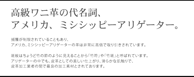 ミシシッピー アリゲーター ハンドバッグ マット加工 / レディース