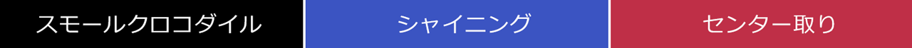 スモールクロコダイルハンドバッグ