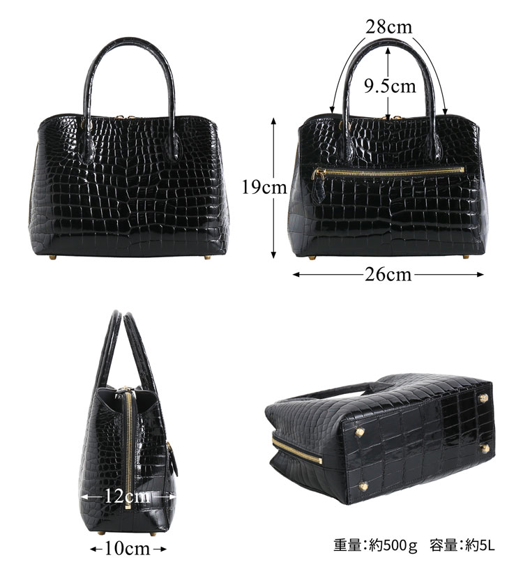 スモール クロコダイル ポロサス シャイニング 加工 センター取り 2way ハンドバッグ