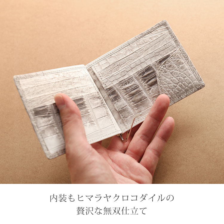 無双仕立てのクロコダイル