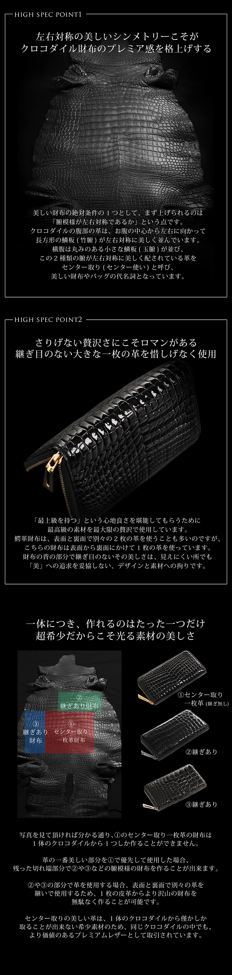 左右対称のナイルクロコダイル