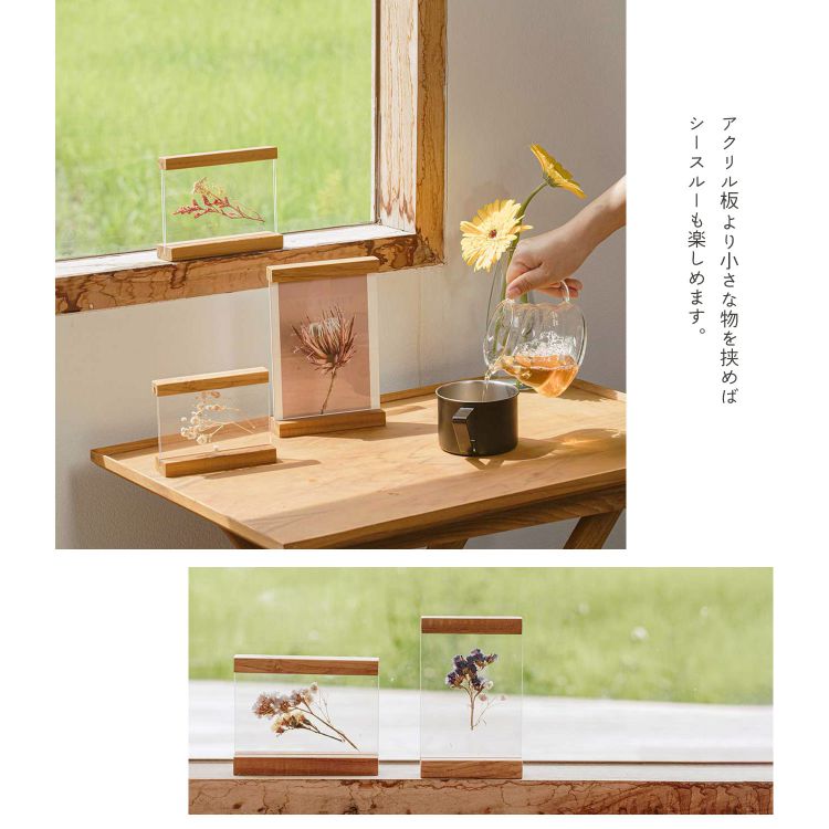 木製 フォトフレーム 2個セット 縦横 ポストカード はがき