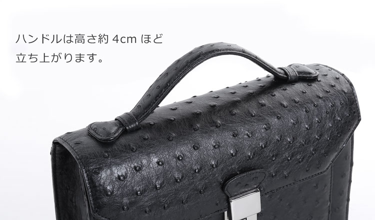 オーストリッチ 日本製 セカンドバッグ ダイヤルロック フルポイント