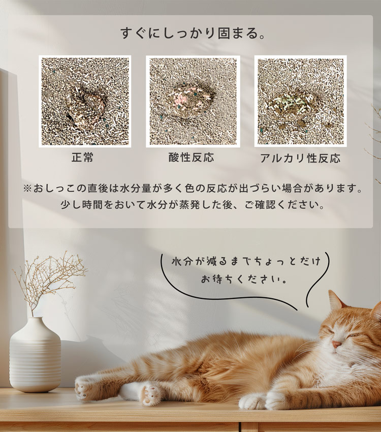 猫砂 健康チェック おから ベントナイト 天然素材 ph おしっこチェック 固まる 清潔