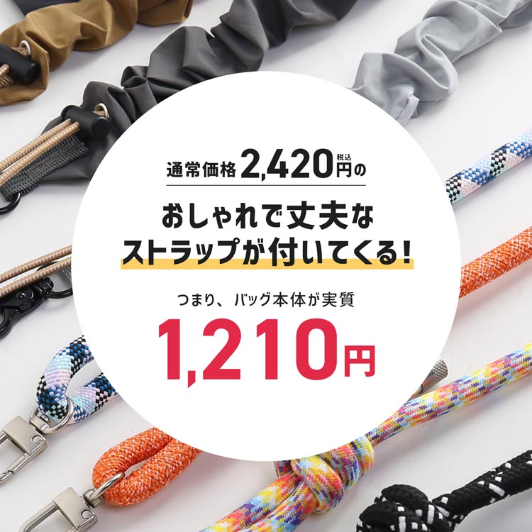 ショルダーストラップが付いてくる