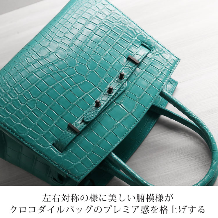 左右対称の様に美しいナイルクロコダイル