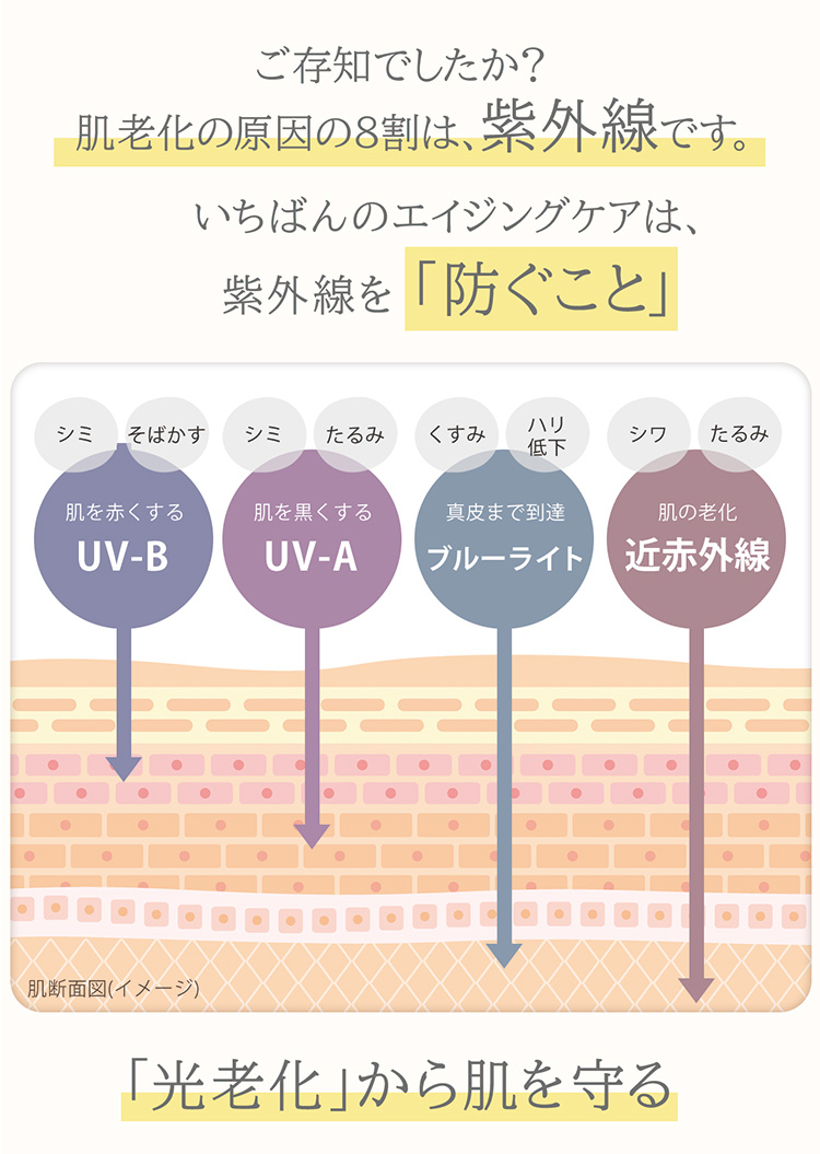 完全遮光　レディースハット