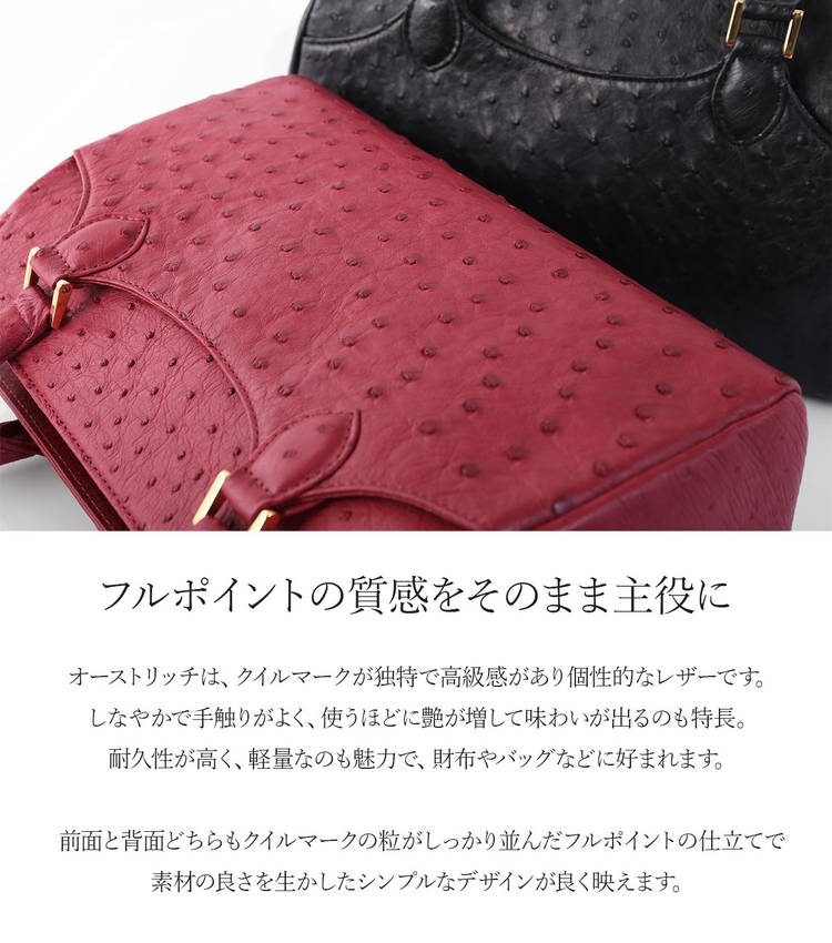 オーストリッチ フルポイント ハンドバッグ