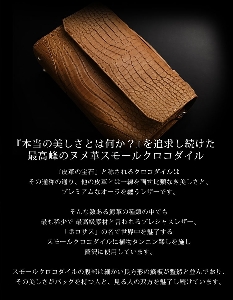 スモールクロコダイル2wayバッグ