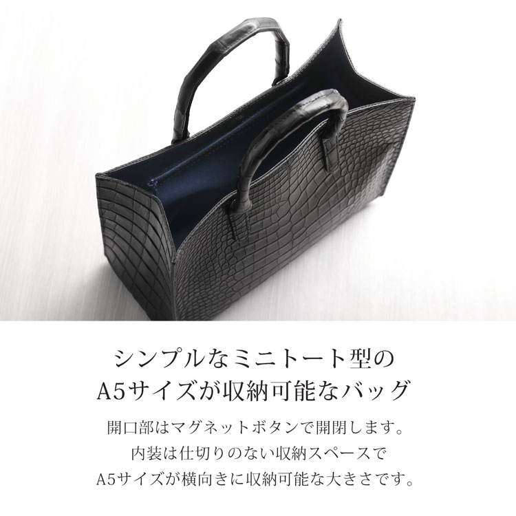 スモールクロコダイル 2wayハンドバッグ