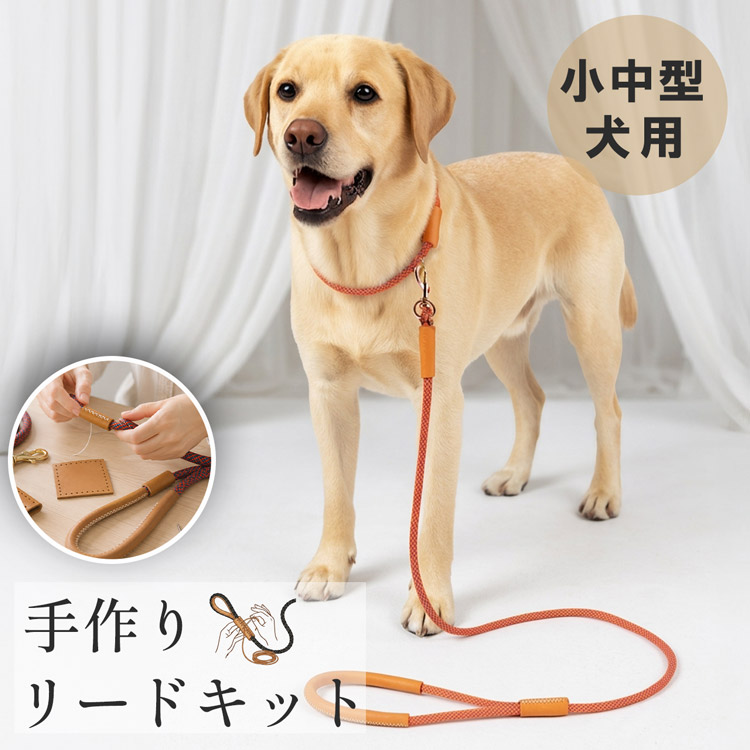 犬用リード 手作りキット 本革 ロープ レザークラフト DIY ハンドメイド 初心者