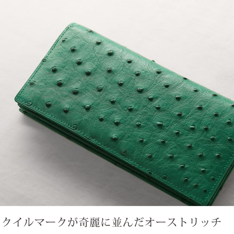 クイルマークが並んだオーストリッチ
