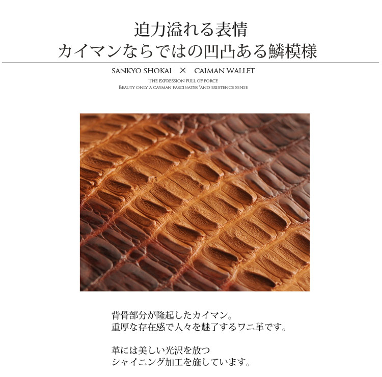 財布 ワニ革