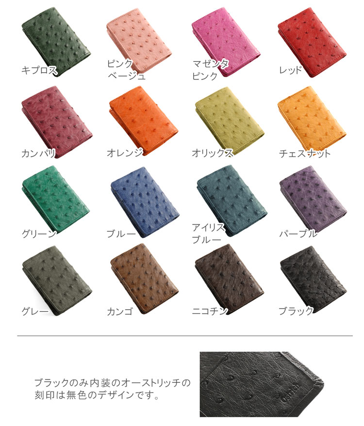 カラバリ 色展開 カラー カラーバリエーション